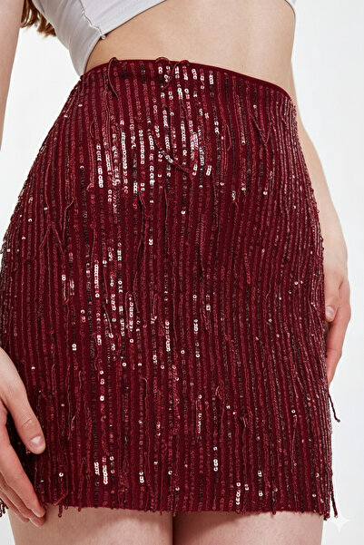 Ceylen Sequin Embroidered Mini Skirt