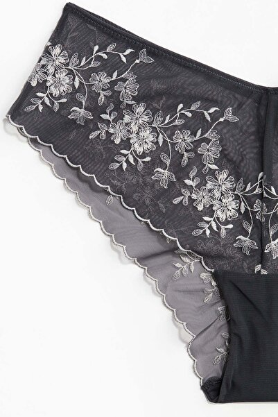 H&M Embroidered mesh hipster briefs