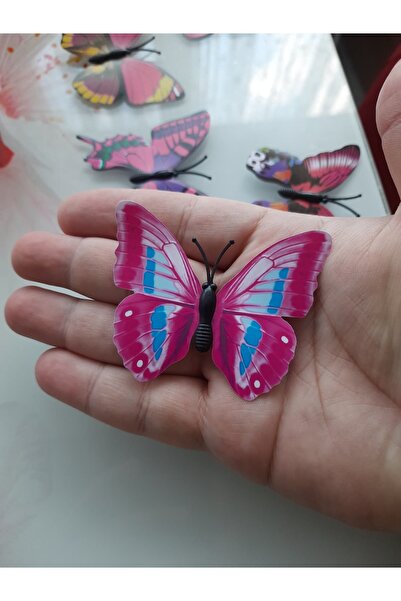 BUKET DÜNYASI 5 ADET BÜYÜK BOY 3D KELEBEK SÜSÜ BUKET SÜSLEMESİ HEDİYE SÜSLEMESİ