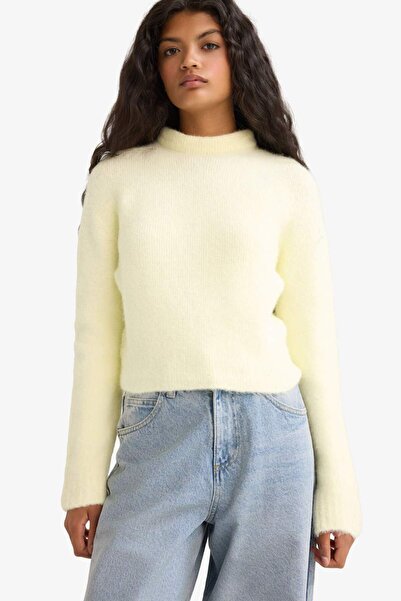 DeFacto Regular Fit Half Turtleneck Sweater F4768Ax25Wn