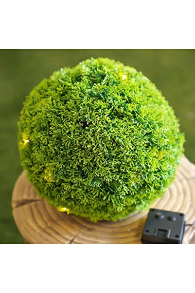 Danube Home 28 cm Artificial Topiary Ball with LED Solar Light - Durable Polyethylene - 1 Year Warranty