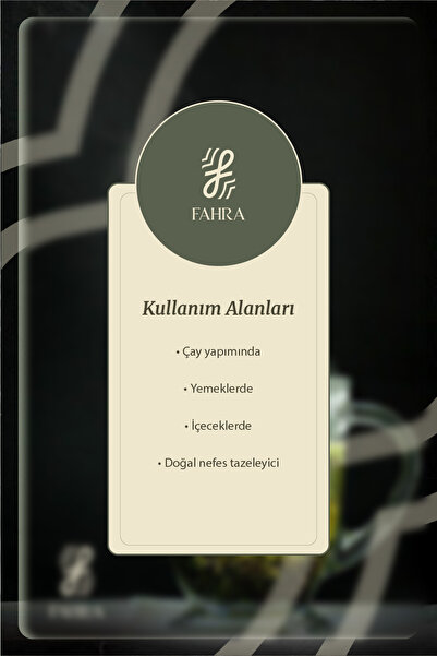 Fahra Kıvırcık Nane 250g Spearmint Tea 250g – PCOS ve Kadın Dengesine Destek