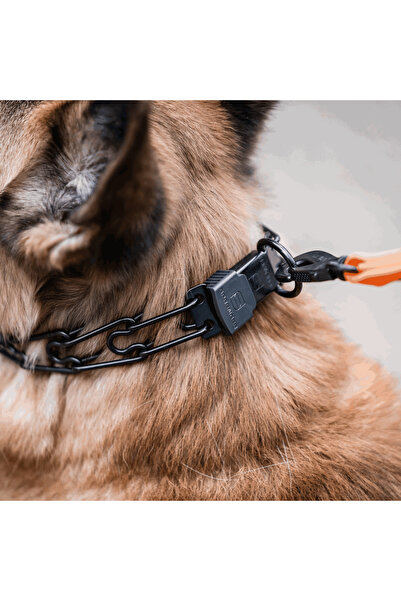 Sprenger Zgarda Dresaj Inox Negru 3.2mm/58cm Sistem ClickLock