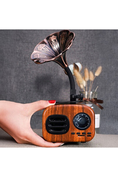 zola Retro Radio Pick-up model, 5 W, Bluetooth, USB/AUX/TF, 1200 mAh battery, 21 × 10 × 7 cm, brown/bronze