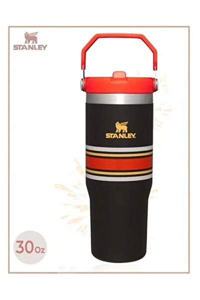 STANNLEY IceFlow Stainless Steel Tumbler 30oz, Leak-Resistant, Vacuum Insulat...