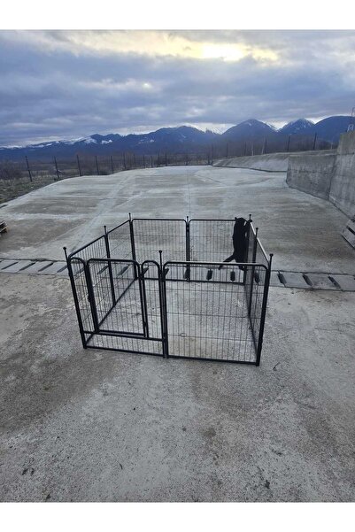 Martin Velo Sport Tarc pentru caini, 8 elemente, 68 x 80 cm, metal, Negru, large 32