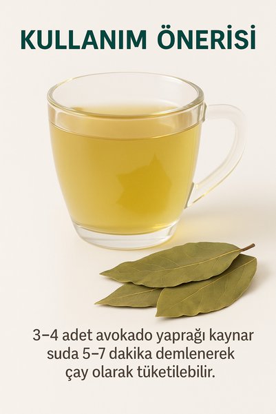 sultanbahçe Avocado Leaf 40 Gr – Natural Dried Herbal Tea