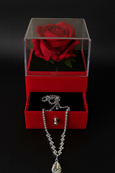 LUPHİRA Kırmızı Fanuslu Sonsuzluk Gülü Ve Gümüş Kaplama Kolye Sevgiliye, Arkadaşa