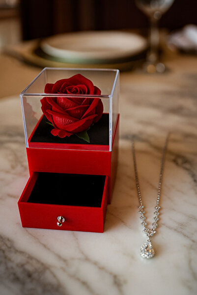 LUPHİRA Kırmızı Fanuslu Sonsuzluk Gülü Ve Gümüş Kaplama Kolye Sevgiliye, Arkadaşa