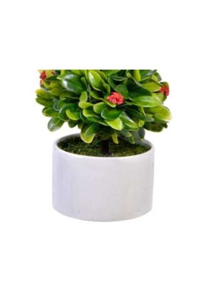 OEM Bonsai decorativ cu flori roșii în ghiveci ceramic, multicolor, 20 cm
