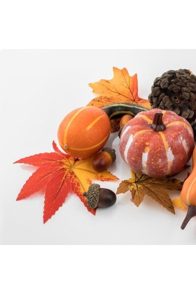 OEM Set Decorativ cu Dovleci Frunze Conuri Ghindine - 17buc