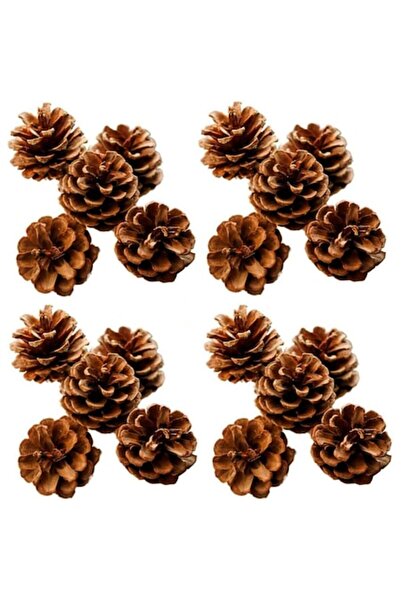 OEM Set 48 conuri de pin, lemn, 3-4 cm, maro