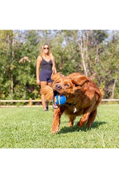 Chuckit Ultra Squeaker Sesli Köpek Oyun Toplu XL