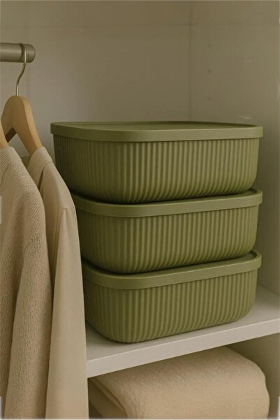 Bayev Colors Green 3 Pieces 3.2 Lt Closet Organizer Organizer Toy Box Storage Box with Lid