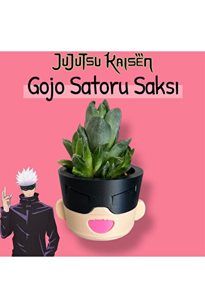 Bilgin Üretim Gojo Satoru Sukulent Saksısı | Jujutsu Kaisen Temalı Hediyelik ...