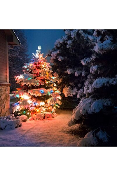 OEM 20 white bulbs with multicolored LED lights, 5m