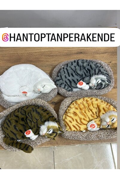 Capybara Oyuncak Uyuyan Kedi