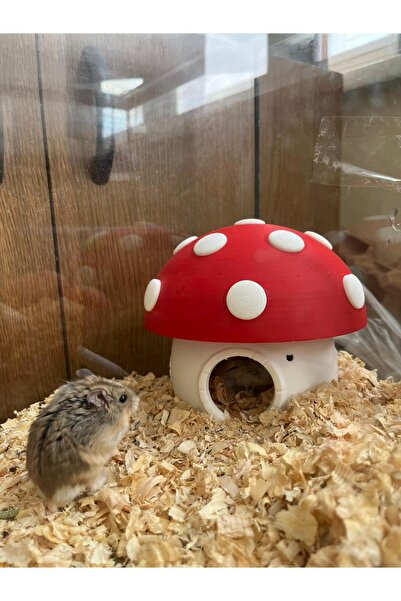 Craftix Hamster ve Küçük Kemirgenler İçin Kırmızı Mantar Yuva