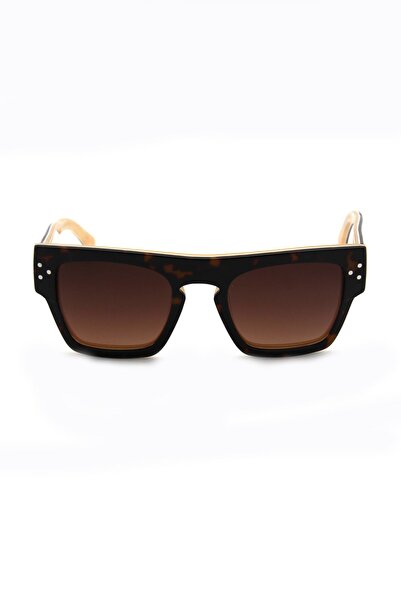 A M EYEWEAR Am Eyewear Am Jj Gordon 70 Db Brg Women Sunglasses