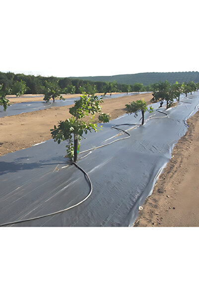 YILPAX 1 Mt X 50 Mt Sulzer Kumaş Sera Taban Yabani Ot Örtüsü Jüt Peyzaj Uygulama Yer Malç Naylonu