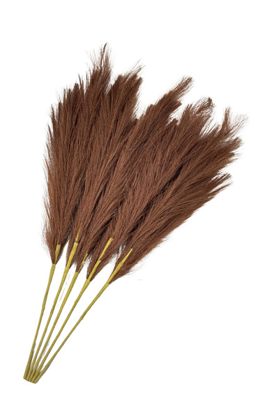 Lara Decor Kahve Pampas Tüy Demeti 5'li