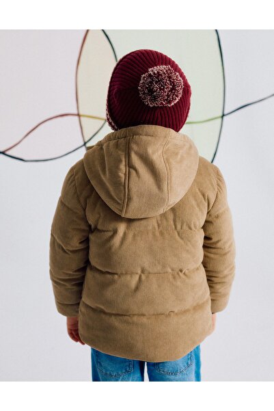 Ziddy Padded Jacket with Hood for Boys, Brown