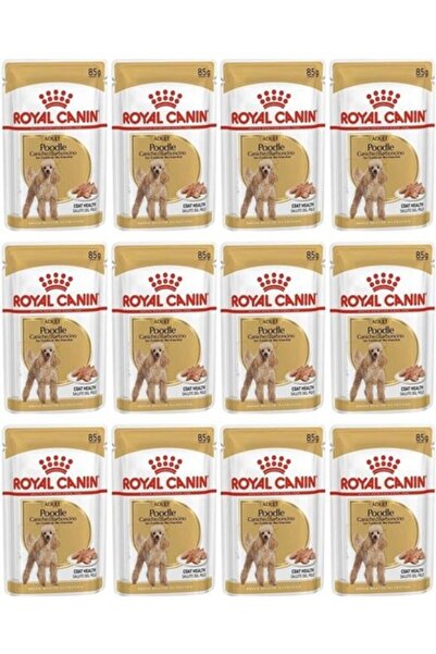 Royal Canin Poodle Tüy Sağlığı Destekleyici Yetişkin Köpek Konservesi 85GR 12...