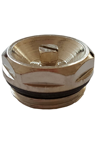 Other Nickel-Plated 1/2" Air Vent Cap with Key