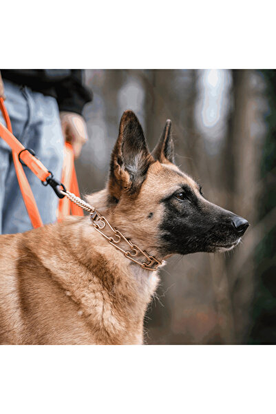 Sprenger Zgarda Dresaj Curogan 64cm 4mm