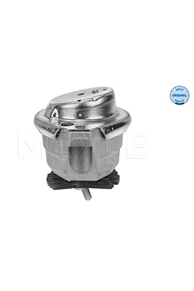 MEYLE Suport Motor Stanga Bmw 5/6