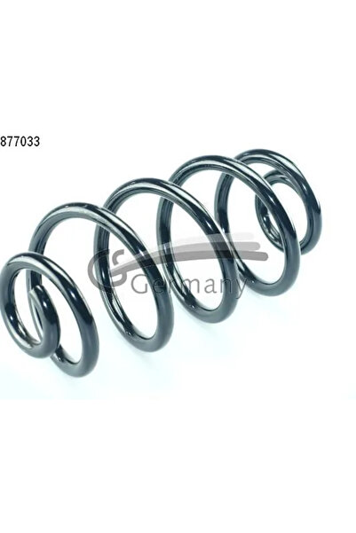 CS GERMANY Arc Spiral Puntea Spate Renault Vel Satis