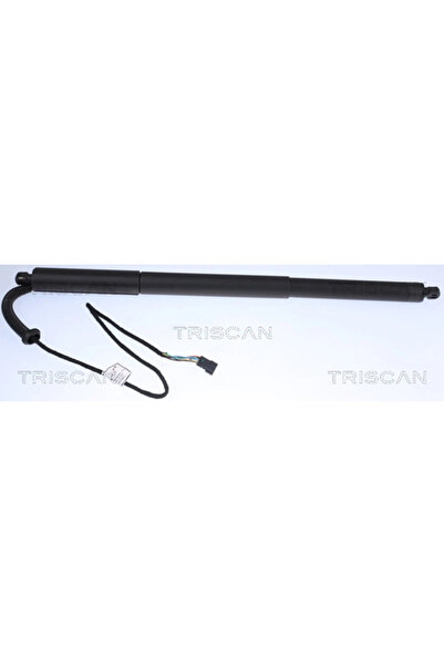 TRISCAN Amortizor Portbagaj Bmw X3