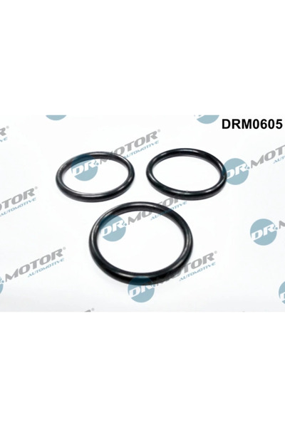 DR.MOTOR AUTOMOTIVE Гарнитура на водна помпа Citroen Jumper 2 Bus/Jumper 2 Ca...