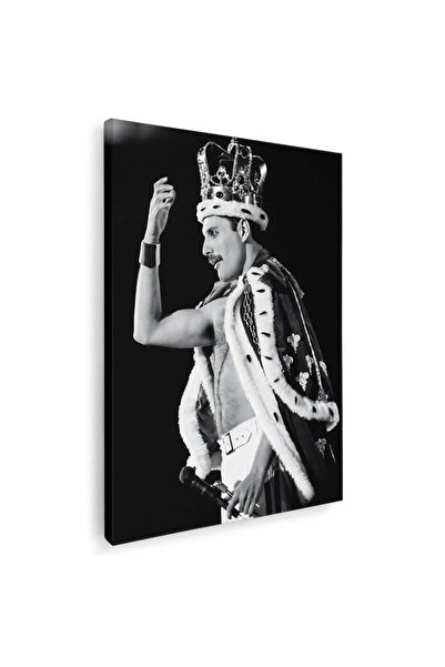 Tablou Canvas portret Freddie Mercury Queen in alb negru , diferite marimi, cod 1022