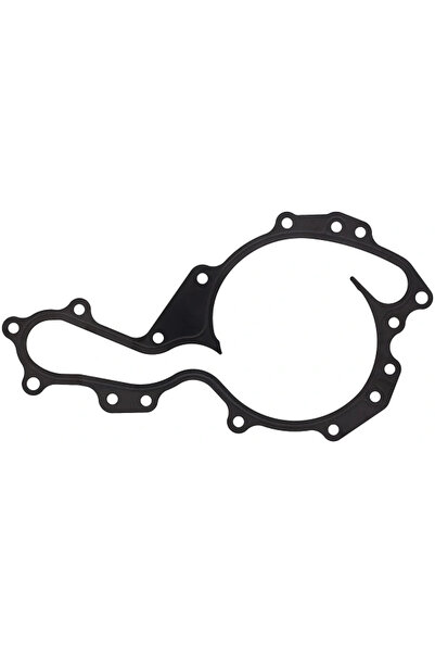 ELRING Garnitura Pompa De Apa Opel Signum/Vectra C Renault Espace 4/Vel Satis