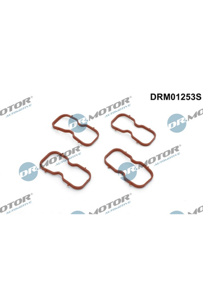 DR.MOTOR AUTOMOTIVE Set Garnituri Galerie Admisie Nissan NV400 Bus/NV400 Caro...