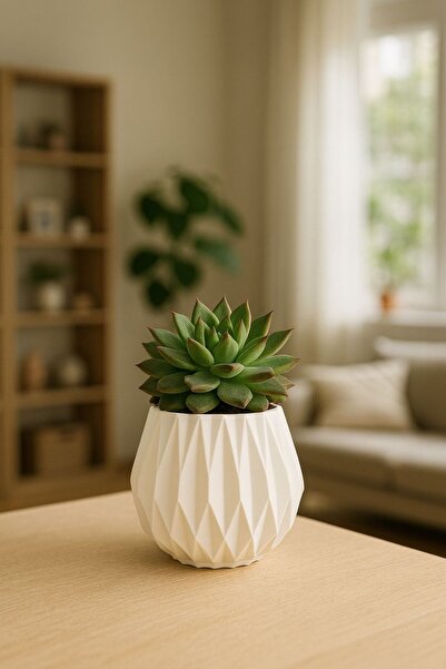 Lea Concept Nomi Mini Beton Saksı - El Yapımı - Dekoratif