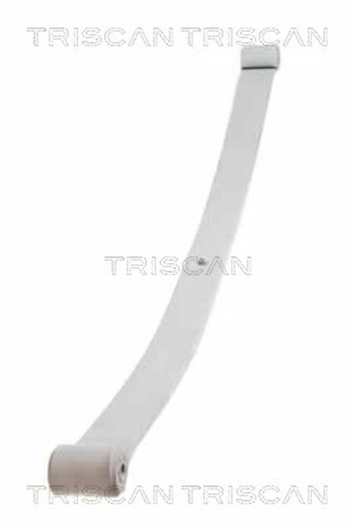 TRISCAN Pachet Arc Cu Foi Puntea Spate Iveco Daily 3 Bus/Daily 3 Caroserie/Da...