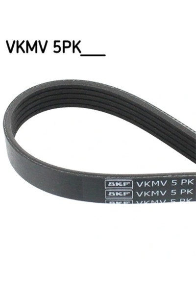 SKF Curea Transmisie Cu Caneluri Audi A4 B5/A4 B6/A6 C5 Skoda Superb 1