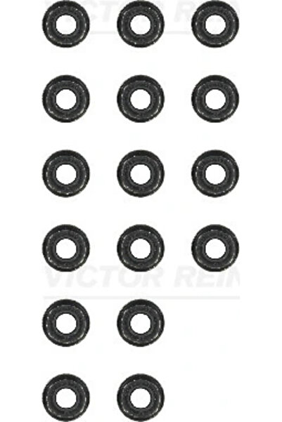 VICTOR REINZ Valve Stem Seals Set Audi A6 C4/A8 D2 Bmw 3/5/7 1992-2024