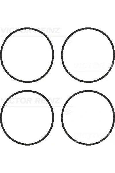 VICTOR REINZ Set Garnituri Galerie Admisie Bmw 1/3/5