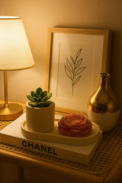 NİLCANDLE Dekoratif Beton Altlık - Beton Saksı - Şakayık Çiçeği Mum Seti – De...