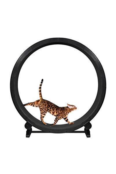 ONE FAST CAT Exercise Wheel 6th Generation for Cat