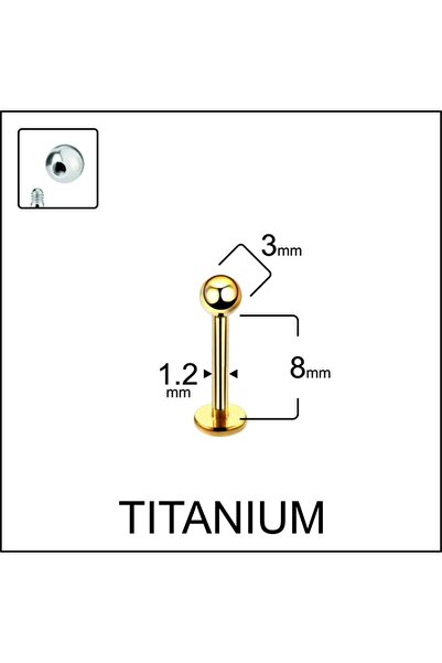 Rupen Kraft Yüksek Kalite G23 Titanium Top Titanyum Dudak Helix Kıkırdak Trag...