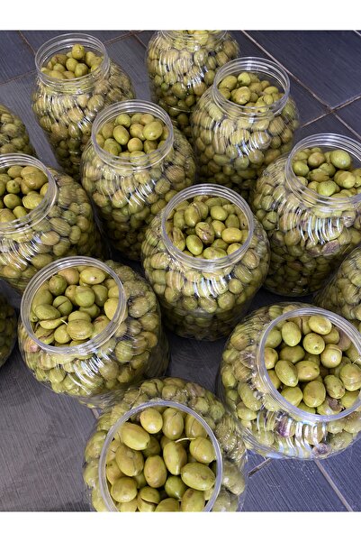 mut incisi zeytin & zeytinyağı Domat Cinsi Yeşil Kırma zeytin Kendin Tatlandır 4 adet 5 litrelik pet