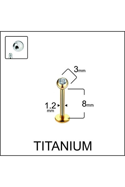 Rupen Kraft Yüksek Kalite G23 Titanium Tek Taş Titanyum Dudak Helix Kıkırdak Tragus Piercingi