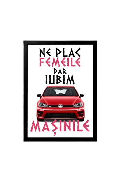 OEM Pictură personalizată pentru pasionații de mașini cu mesajul: Ne plac fem...