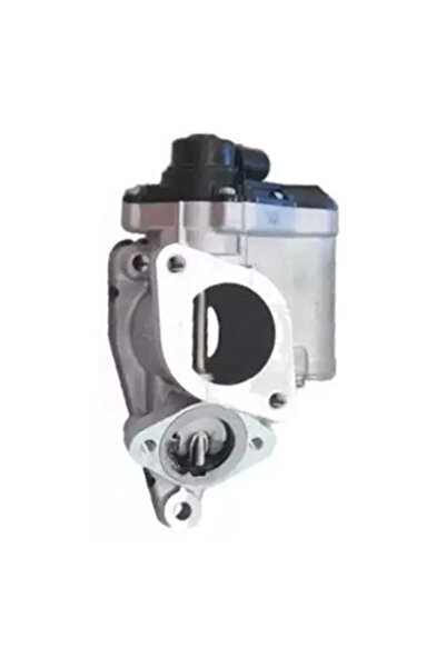 MAGNETI MARELLI Supapa Egr Renault Laguna 2/Megane 2/Scenic 2 Suzuki Grand Vi...