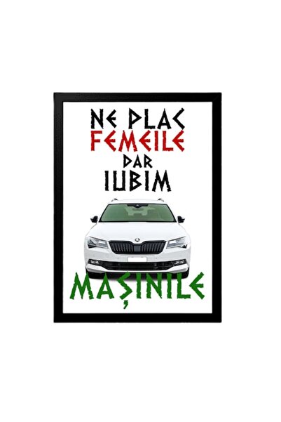 OEM Pictură personalizată pentru entuziaști cu mesajul: Ne plac femeile, dar ...