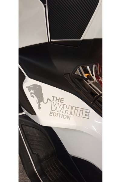 oracle PCX REDBULL WHİTE YAZI STİCKER LOGO